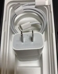 純正品 iPhone Apple ライトニングケーブル タイプC 充電器 急速