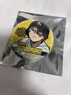 ヒロアカ　轟焦凍 缶バッジ