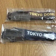アルティーリ千葉 オリジナルネックストラップ 新品未使用未開封