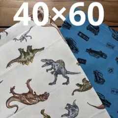 ★ハンドメイド★ランチョンマット2枚セット　40✕60自動車 恐竜★659