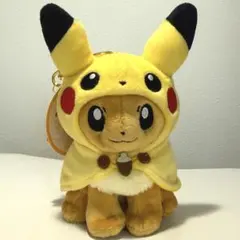 沖縄限定 ポンチョを着たイーブイ ぬいぐるみ - メルカリ