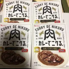 カレーでニクる　中辛　1人前(160g)×4箱のサムネイル