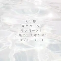 えり様 専用ページ ୨୧