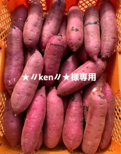 紅はるか 訳あり 5kg ★〃ken〃★様専用