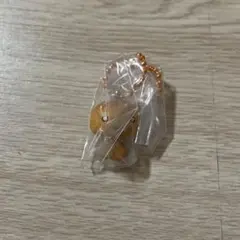 サンエックスユニバース　チャーム　こげぱん