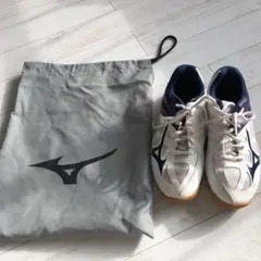 ミズノシューズ　バレーボール24.0部活動