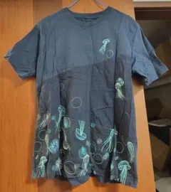 Item thumbnail for item 735096a8-02d4-4b53-bfe8-eb1a0d47522d