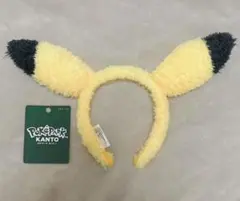 ポケパーク　カントー　ピカチュウ　カチューシャ