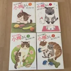 2025年最新】キジトラ猫の小梅さんの人気アイテム - メルカリ