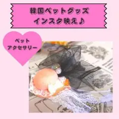 SALE★新品★帽子　アクセサリー　リボン　ペット ドッグウェア 犬 服