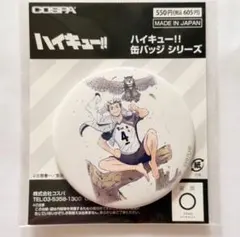 2026年最新】木兎光太郎 缶バッジの人気アイテム - メルカリ