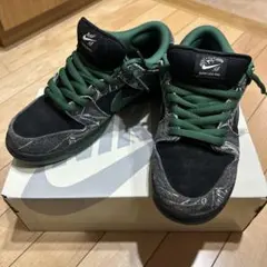 There Skateboards × Nike SB Dunk Low Pro