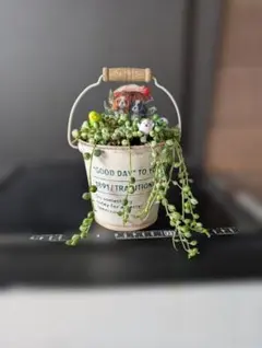 2026年最新】グリーンネックレス斑入りの人気アイテム - メルカリ