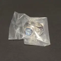 リボーン REBORN ボンゴレリングコレクション 大空のボンゴレリング 未使用