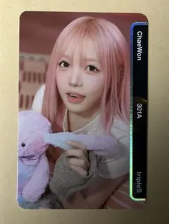 tripleS トエス msnz OMA チェウォン BB301