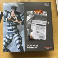 限定特典付き リボルテック アメイジング・ヤマグチ ぷりぷり