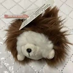 Item thumbnail for item 18287c2b-1302-463b-8e31-b1b1ea5e48cf