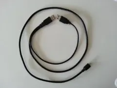 ＵＳＢ端子２個付Ｙ字型ＵＳＢケーブル（電源補助用ＵＳＢ端子付）