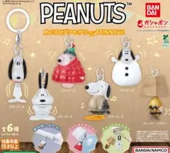 新品　PEANUTS スヌーピー　SNOOPY めじるしアクセサリー　FUNNY