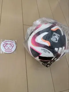 テゲバジャーロ宮崎 サッカーボール おまけ付きのサムネイル