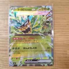 ポケカ オーガポン みどりのめんex RR SV6 変幻の仮面 016/101