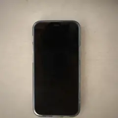 Apple iPhone 12 mini 本体