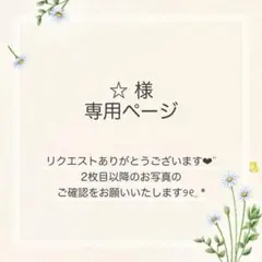 ☆(プロフ必読 ︎)様 おまとめ2点