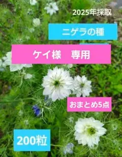 ケイ様 リクエスト 5点 まとめ商品