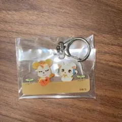 ⭐︎【匿名配送】とっとこハム太郎 りぼんちゃん　トンガリくん　アクリルキーホルダー