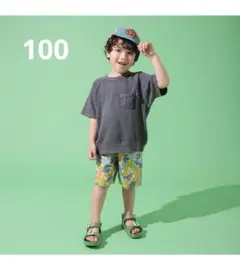 ブリーズ　スウェットTシャツ　半袖Tシャツ ポケット付き　100のサムネイル