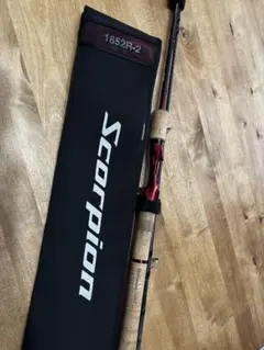 鳥取砂丘のとっちゃん様 リクエスト 2点 まとめ商品