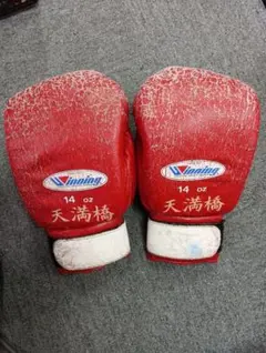 Item thumbnail for item 9ec02109-a95d-4122-ba33-e8dc560abd58