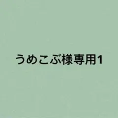 うめこぶ様専用1