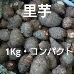 2025年最新】里芋種芋の人気アイテム - メルカリ