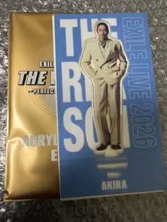 EXILE THE REASON アクスタ フォトカ シクレ AKIRA