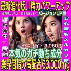 バキ勃ち❣️男性増大サプリ❣️精力増強剤❤︎最高級アルギニンシトルリン 高麗人参 マカのサムネイル