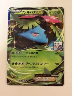 フシギバナEX PROMO XYシリーズプロモーションカード PROMO 23…のサムネイル