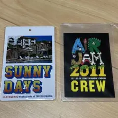 Hi-STANDARD AIR JAM 2011 クルーパスSUNNY DAYS
