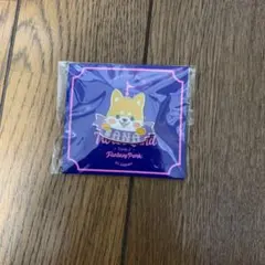 TWICE サナ ネームプレート