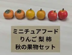 9月限定 ミニチュアフード りんご 梨 柿　秋の果物セット（大）