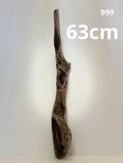 流木【999】