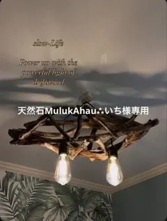 Item thumbnail for item 415feef0-4fac-4265-8cb0-b910ea91043e