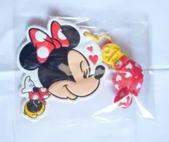 ディズニーリゾート ミニー パスケース