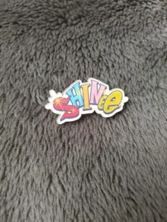 shinee　ピンバッジ