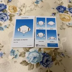 サンリオ証明写真　こぎみゅん