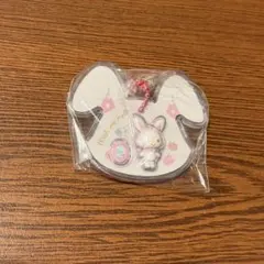 サンリオキャラクターズ パッケージチャーム＆チョコボーロ ウィッシュミーメル