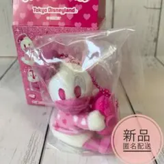 ディズニー　パルパルーザ　ミニぬいぐるみチャーム　ドナルド　ファンダーランド