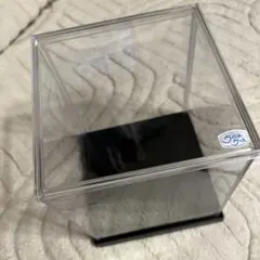 ウインナーケース　透明・黒　15×15×16