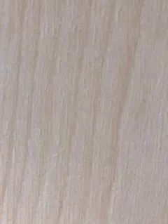 ひろ様専用　アムステルダマー付属ペーパー