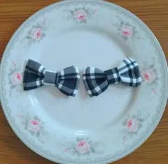 Item thumbnail for item a90033be-5dbb-422d-8f47-0e85b9fa145b